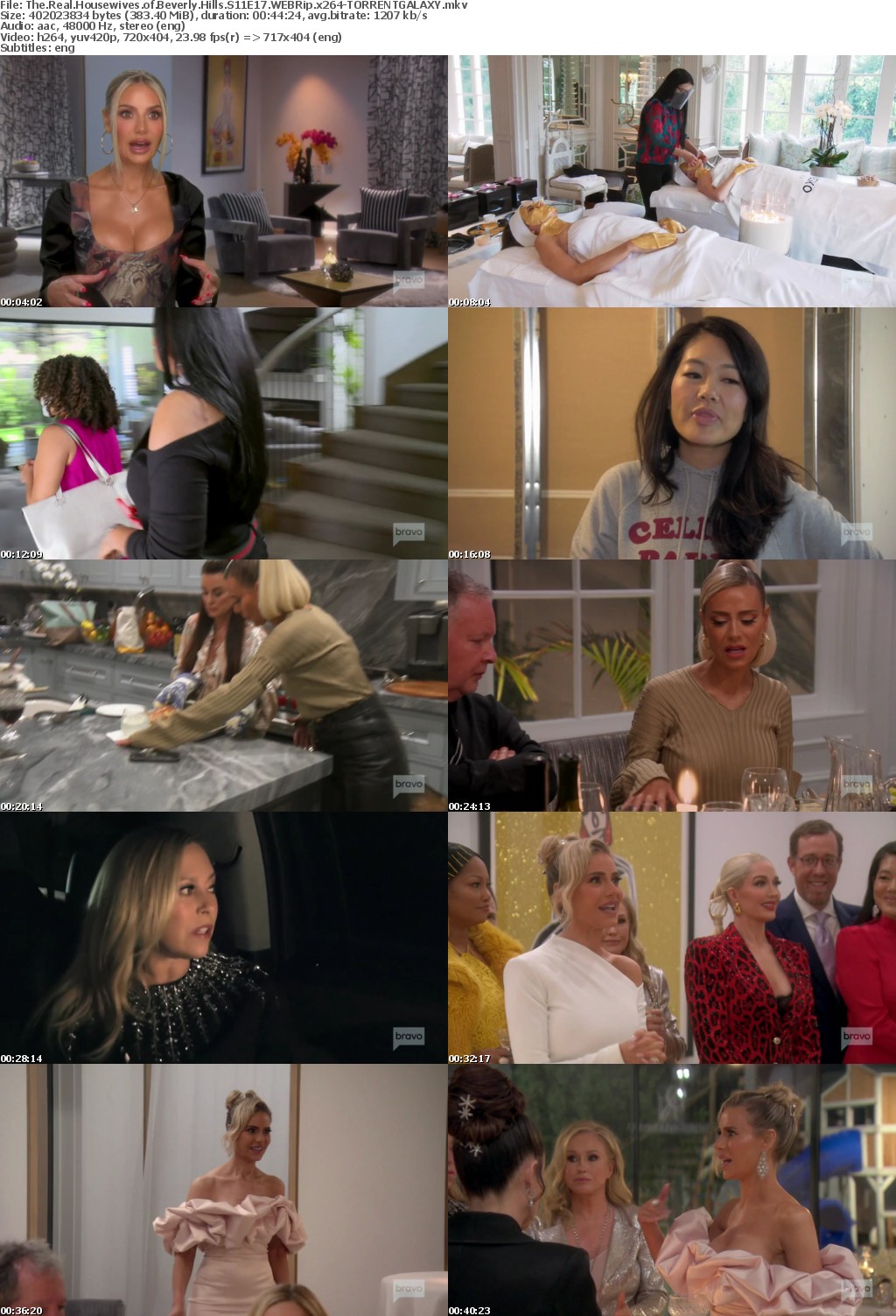 The Real Housewives of Beverly Hills S11E17 WEBRip x264-GALAXY