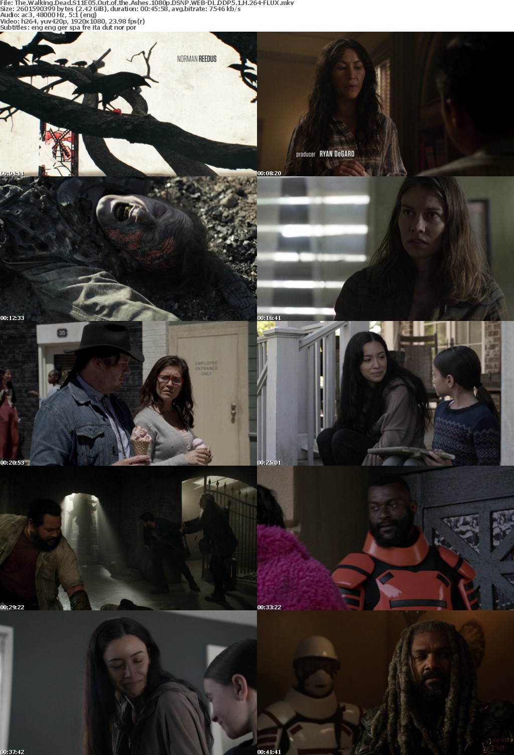 The Walking Dead S11E05 Out of the Ashes 1080p DSNP WEBRip DDP5 1 x264-FLUX