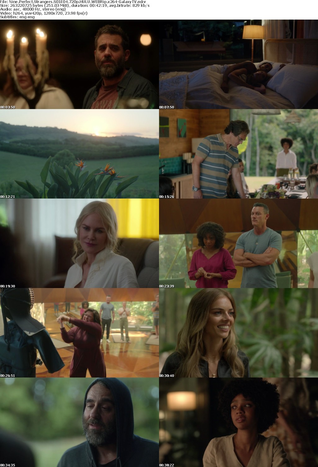 Nine Perfect Strangers S01 COMPLETE 720p HULU WEBRip x264-GalaxyTV