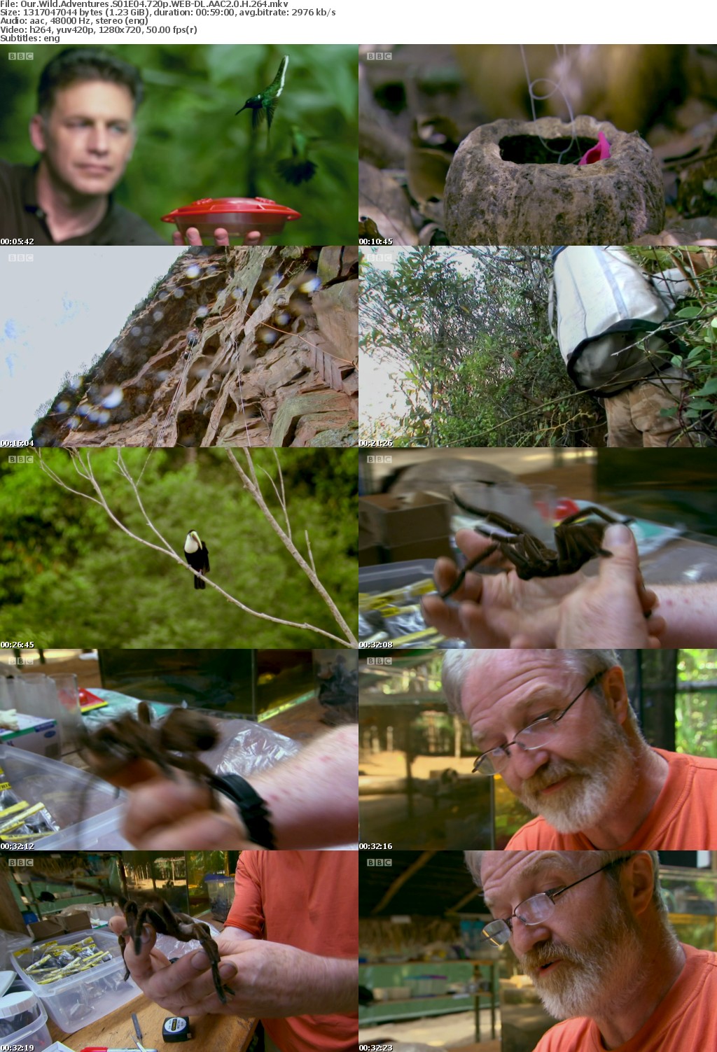 Our Wild Adventures S01E04 720p WEB-DL AAC2 0 H264-BTN
