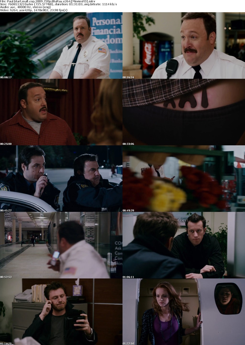 Paul Blart: Mall Cop (2009) 720p BluRay x264 - MoviesFD