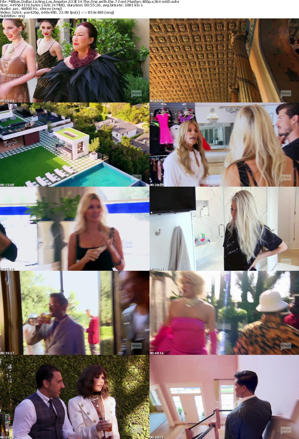 Million Dollar Listing Los Angeles S13E14 The One with the 7 Foot Marilyn 480p x264-mSD