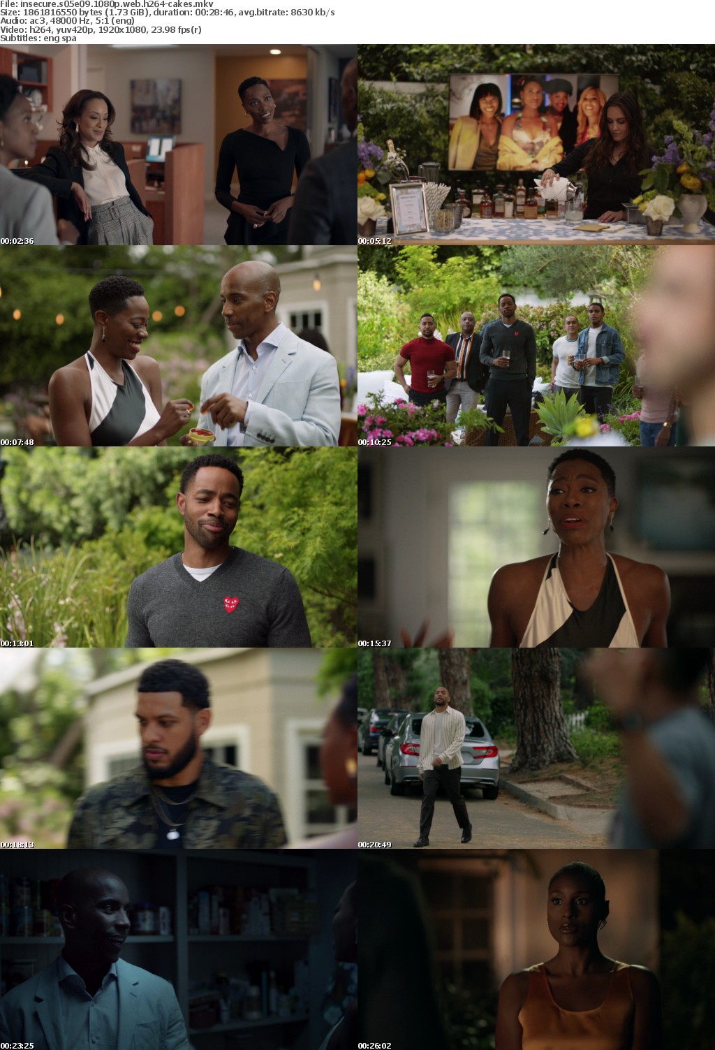 Insecure S05E09 1080p WEB H264-CAKES