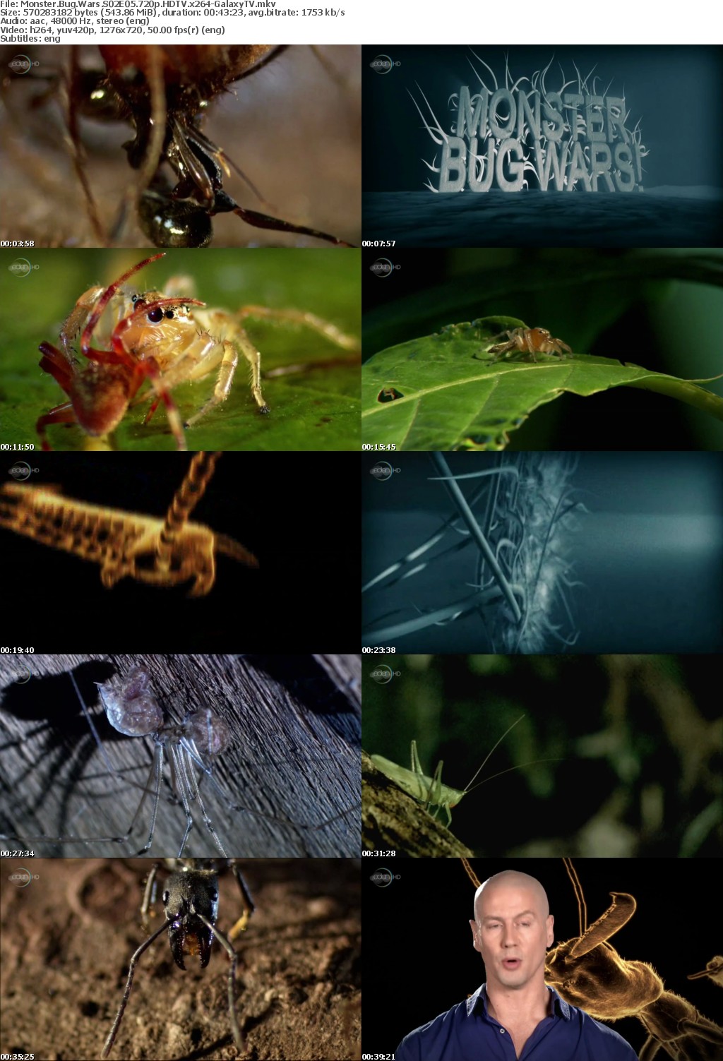 Monster Bug Wars S02 COMPLETE 720p HDTV x264-GalaxyTV