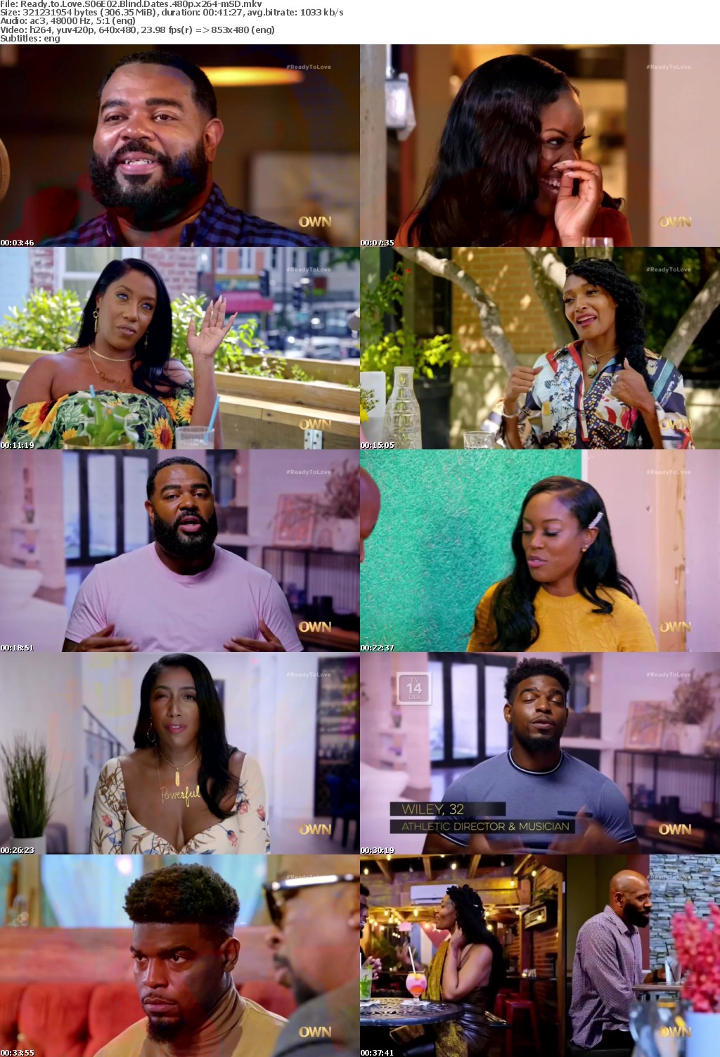 Ready to Love S06E02 Blind Dates 480p x264-mSD