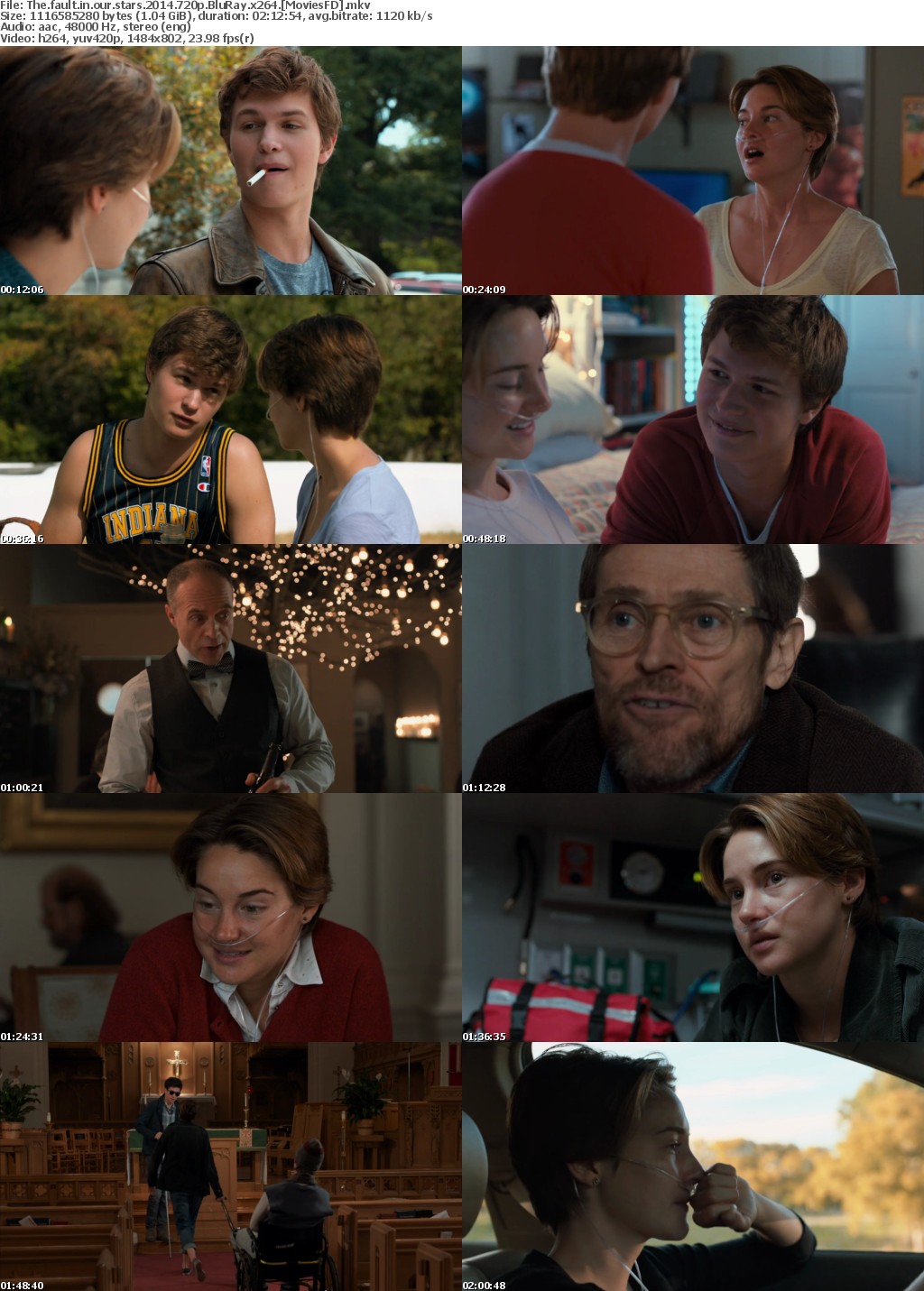 The Fault in Our Stars (2014) 720p BluRay x264 - MoviesFD