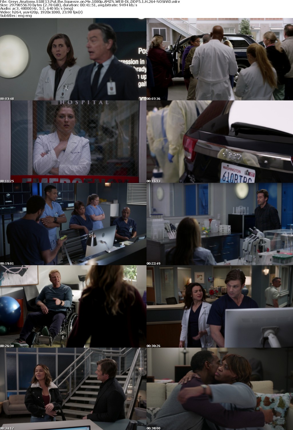 Greys Anatomy S18E13 Put the Squeeze on Me 1080p AMZN WEBRip DDP5 1 x264-NOSiViD