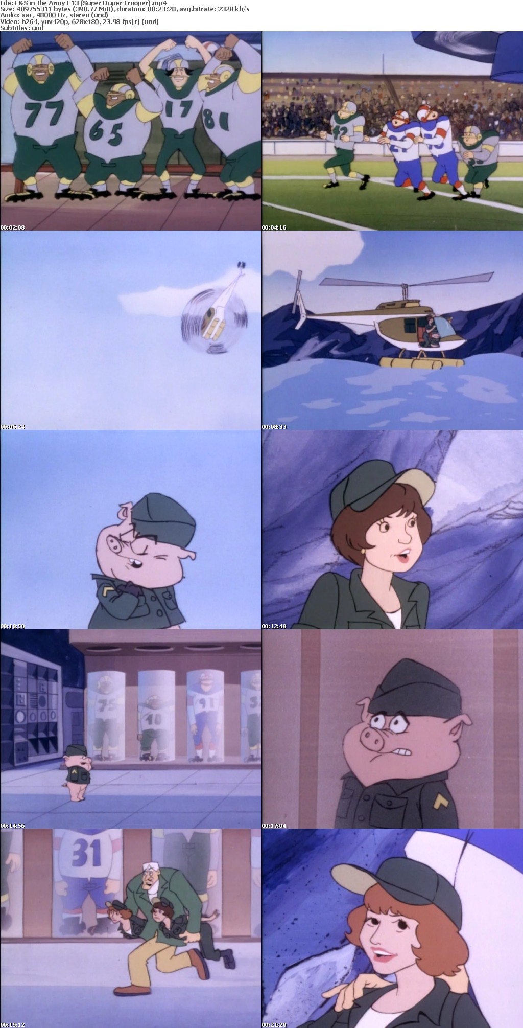 Laverne and Shirley in the Army (Cartoon series in MP4 format)