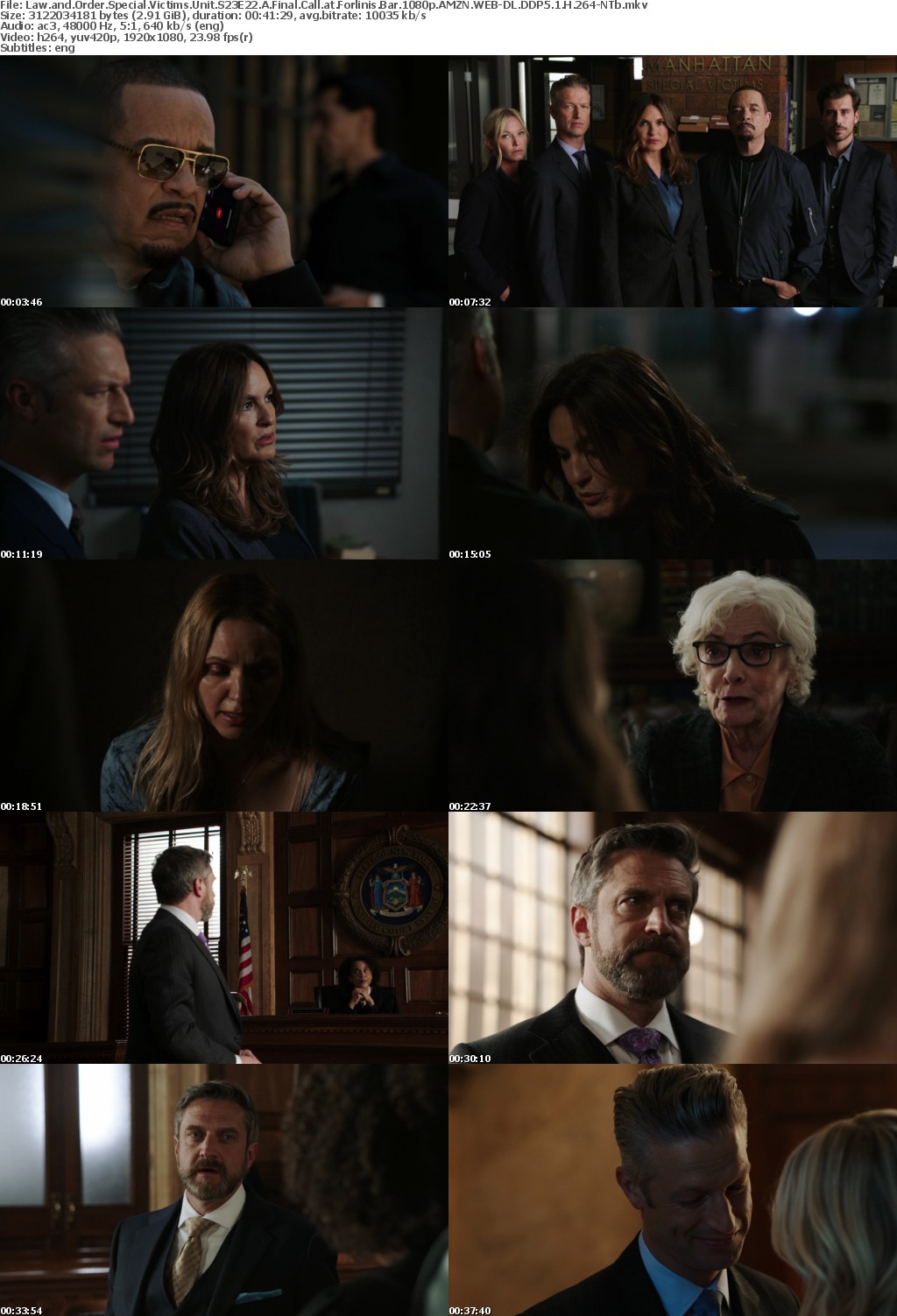 Law and Order SVU S23E22 A Final Call at Forlinis Bar 1080p AMZN WEBRip DDP5 1 x264
