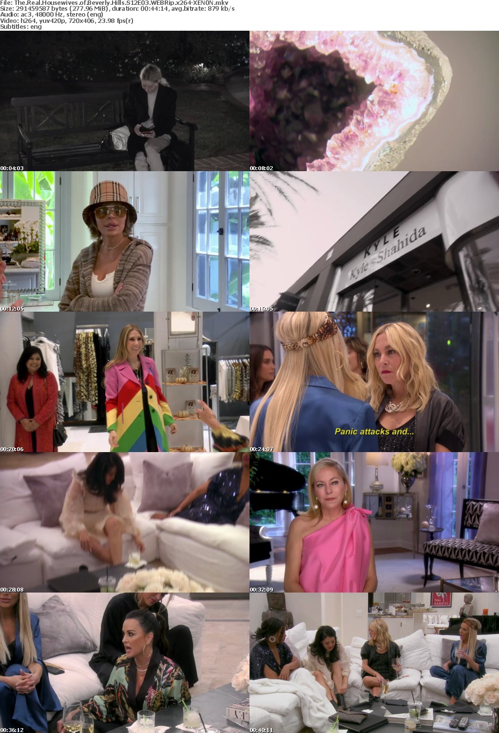 The Real Housewives of Beverly Hills S12E03 WEBRip x264-XEN0N
