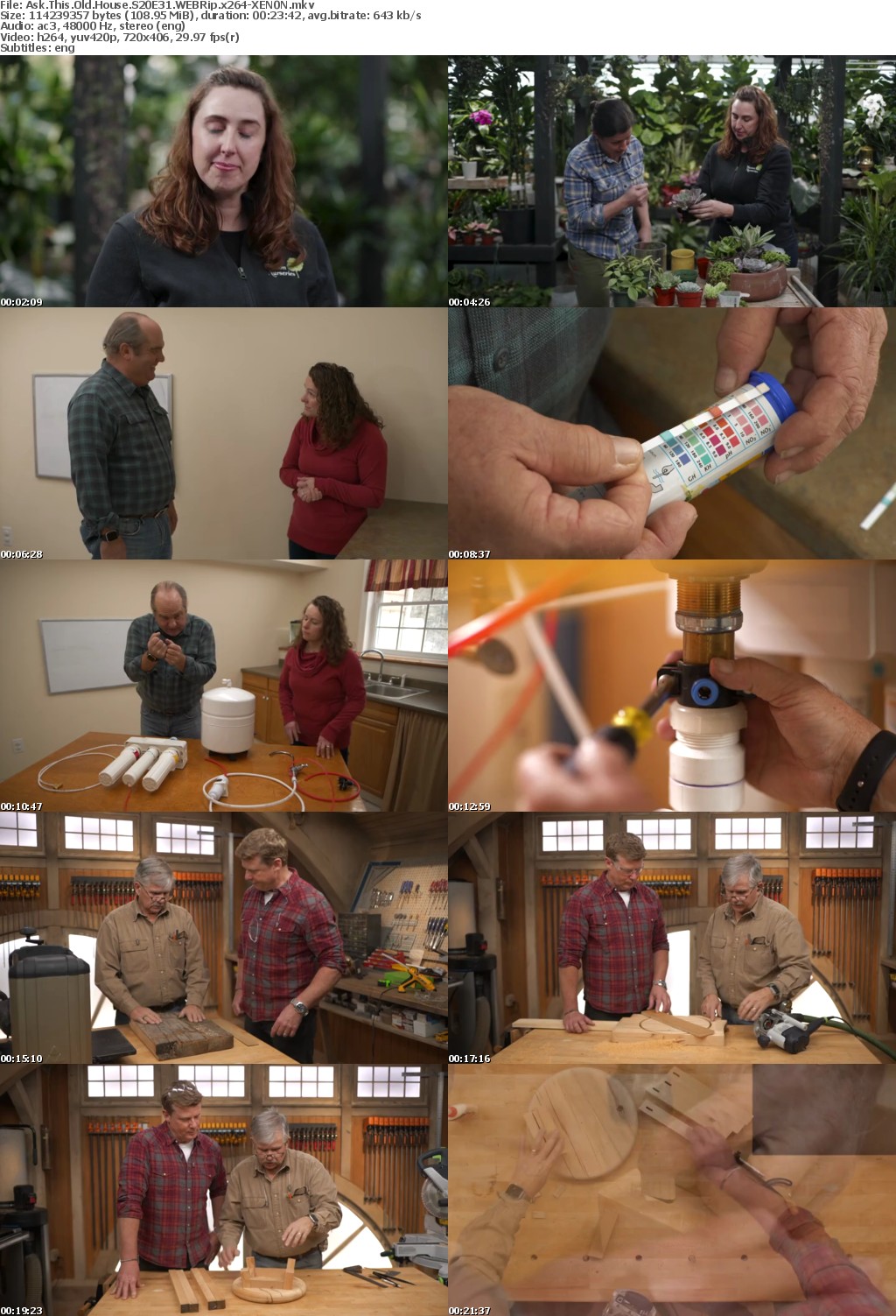 Ask This Old House S20E31 WEBRip x264-XEN0N