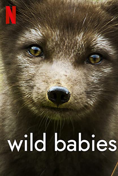 Wild Babies S01 COMPLETE 720p NF WEBRip x264-GalaxyTV
