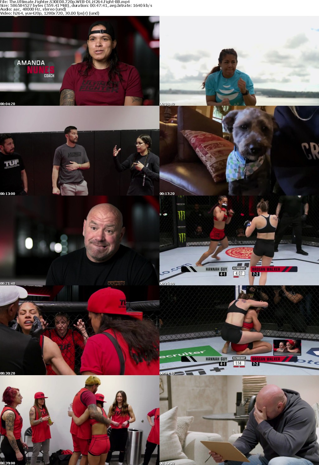 The Ultimate Fighter S30E08 720p WEB-DL H264 Fight-BB
