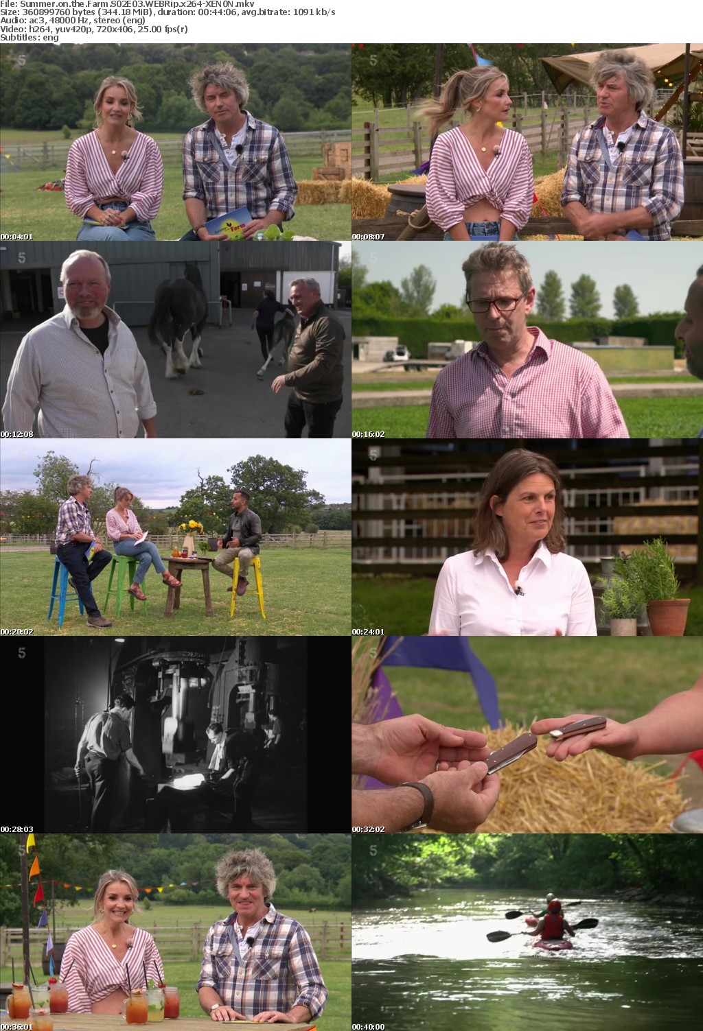 Summer on the Farm S02E03 WEBRip x264-XEN0N