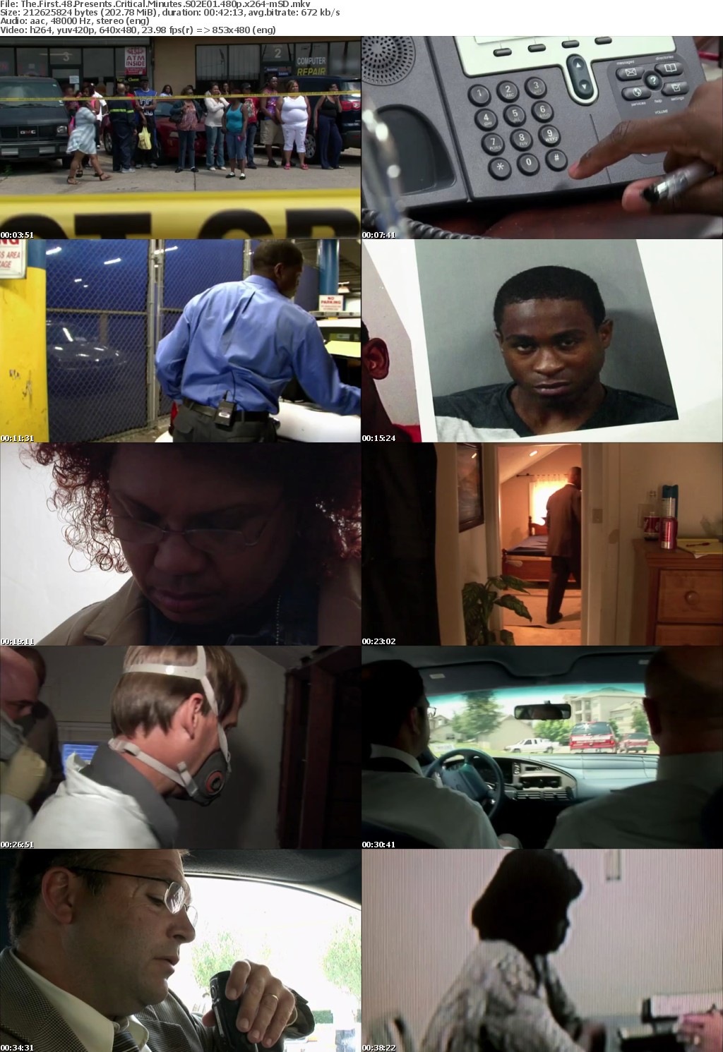 The First 48 Presents Critical Minutes S02E01 480p x264-mSD