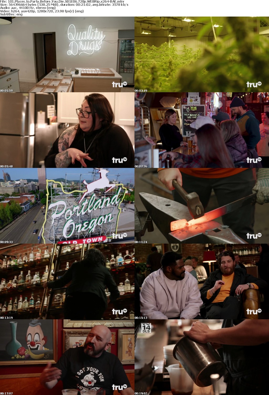 101 Places to Party Before You Die S01E06 720p WEBRip x264-BAE