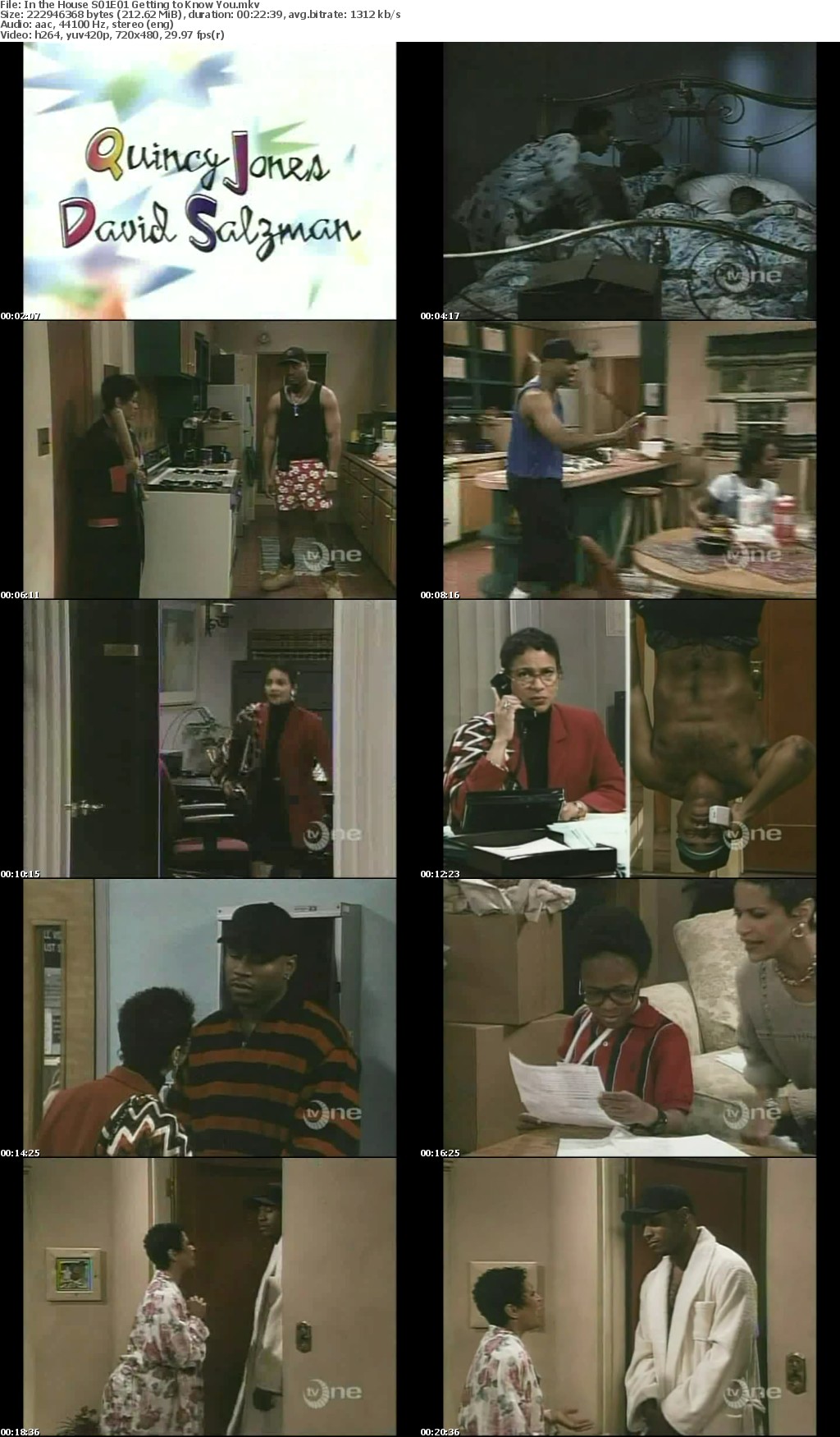 In the House 1995 Season 1 Complete TVRip x264 i c