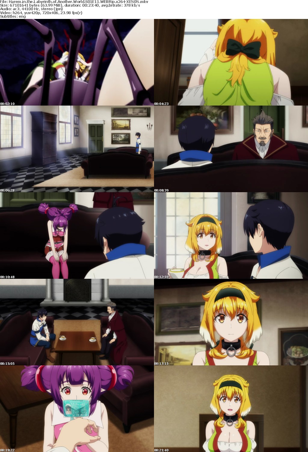 Harem in the Labyrinth of Another World S01E11 WEBRip x264-XEN0N