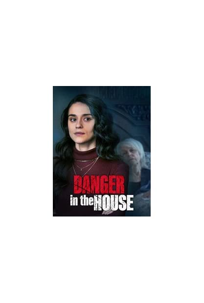 Danger in the House (2022) 1080p NF WEB-DL Dutch Sub NL