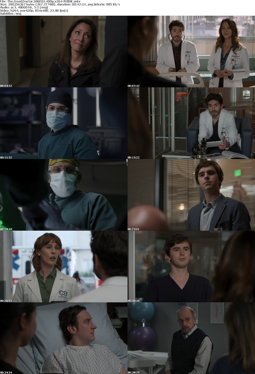 The Good Doctor S06E02 480p x264-RUBiK