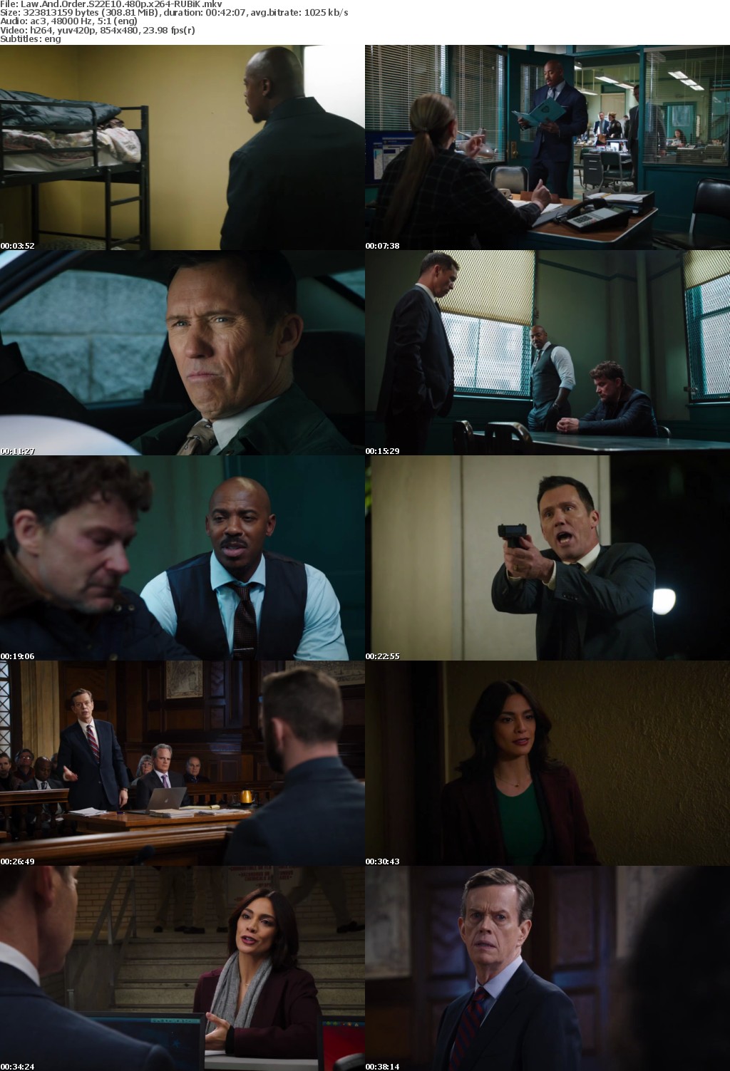Law And Order S22E10 480p x264-RUBiK