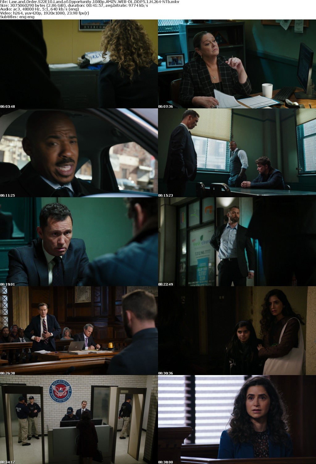 Law and Order S22E10 Land of Opportunity 1080p AMZN WEBRip DDP5 1 x264-NTb