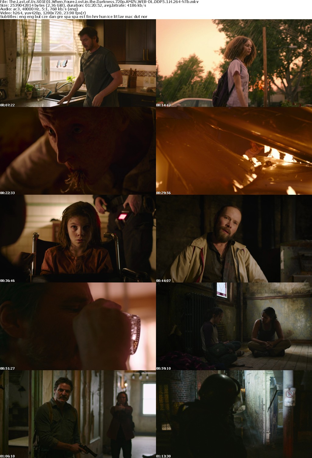 The Last of Us S01E01 When Youre Lost in the Darkness 720p AMZN WEBRip DDP5 1 x264-NTb
