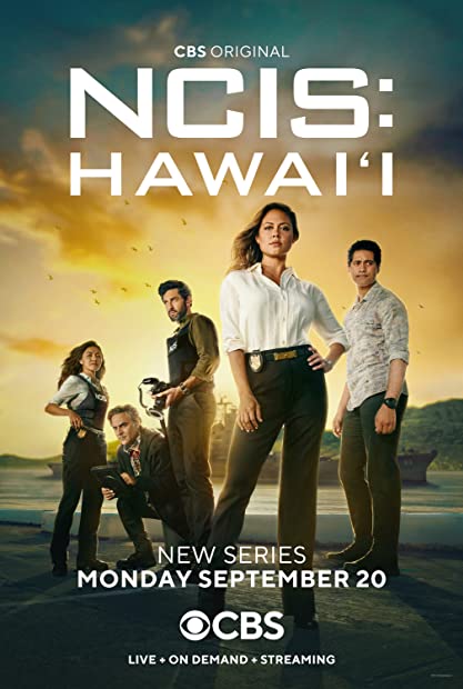 NCIS Hawaii S02E11 720p HDTV x265-MiNX