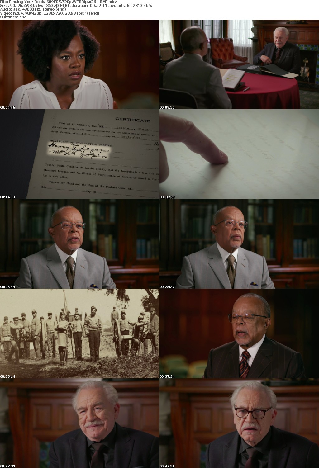 Finding Your Roots S09E05 720p WEBRip x264-BAE