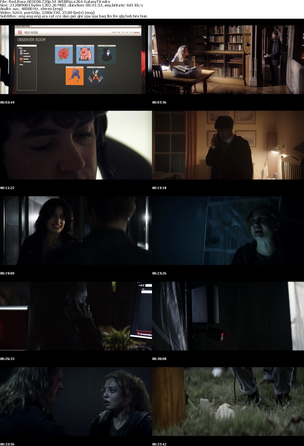 Red Rose S01 COMPLETE 720p NF WEBRip x264-GalaxyTV