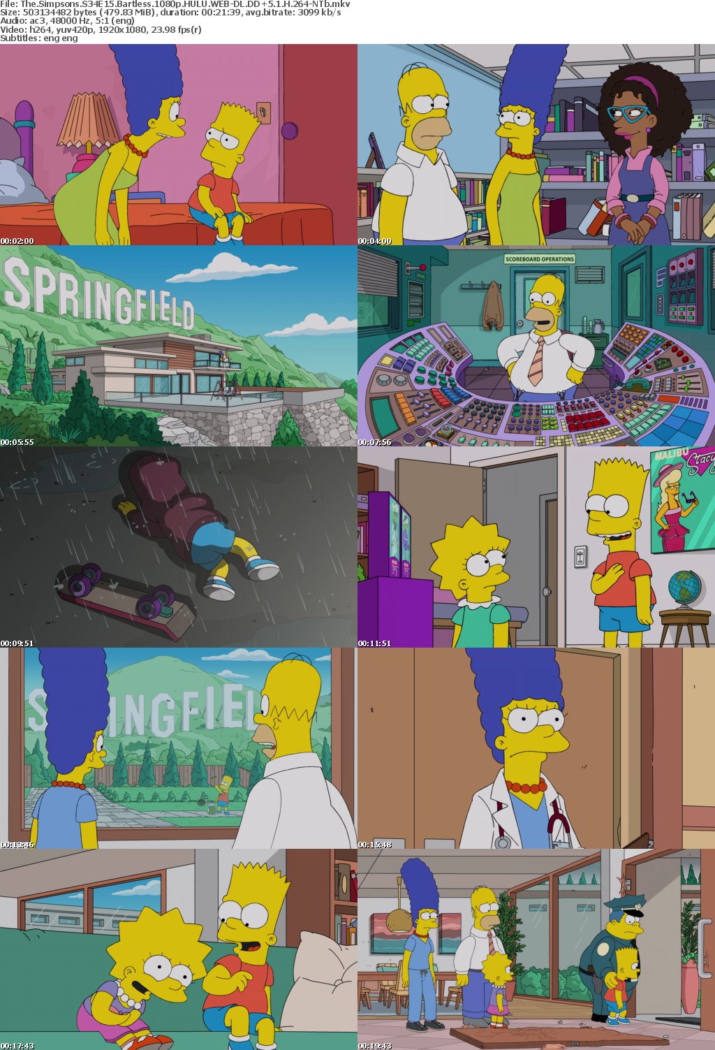 The Simpsons S34E15 Bartless 1080p HULU WEBRip DDP5 1 x264-NTb