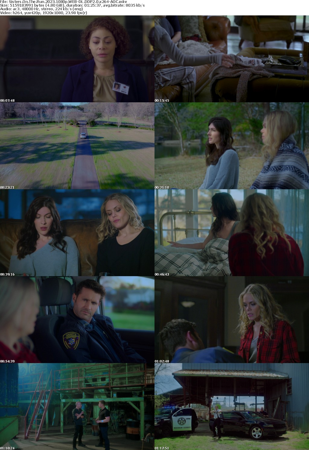 Sisters On The Run 2023 1080p WEB-DL DDP2 0 x264-AOC