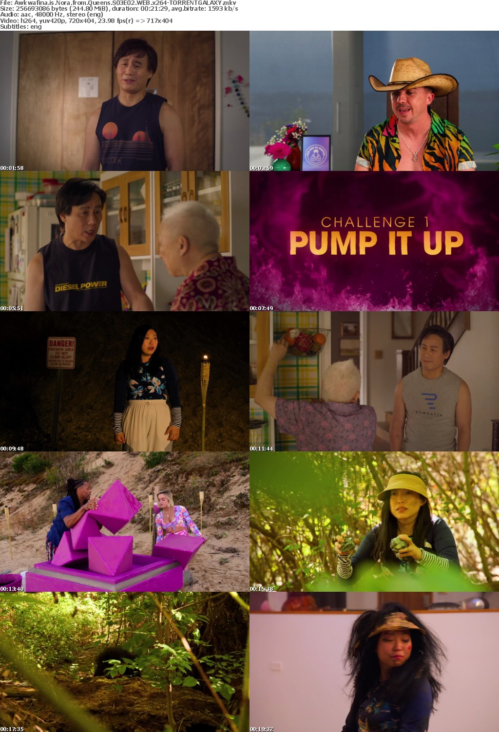 Awkwafina is Nora from Queens S03E02 WEB x264-GALAXY
