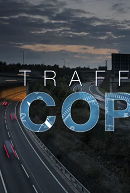 All New Traffic Cops S12E19 HDTV x264-XEN0N