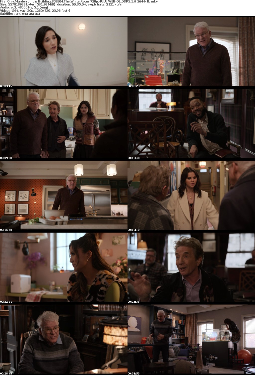 Only Murders in the Building S03E04 The White Room 720p HULU WEB-DL DDP5 1 H 264-NTb