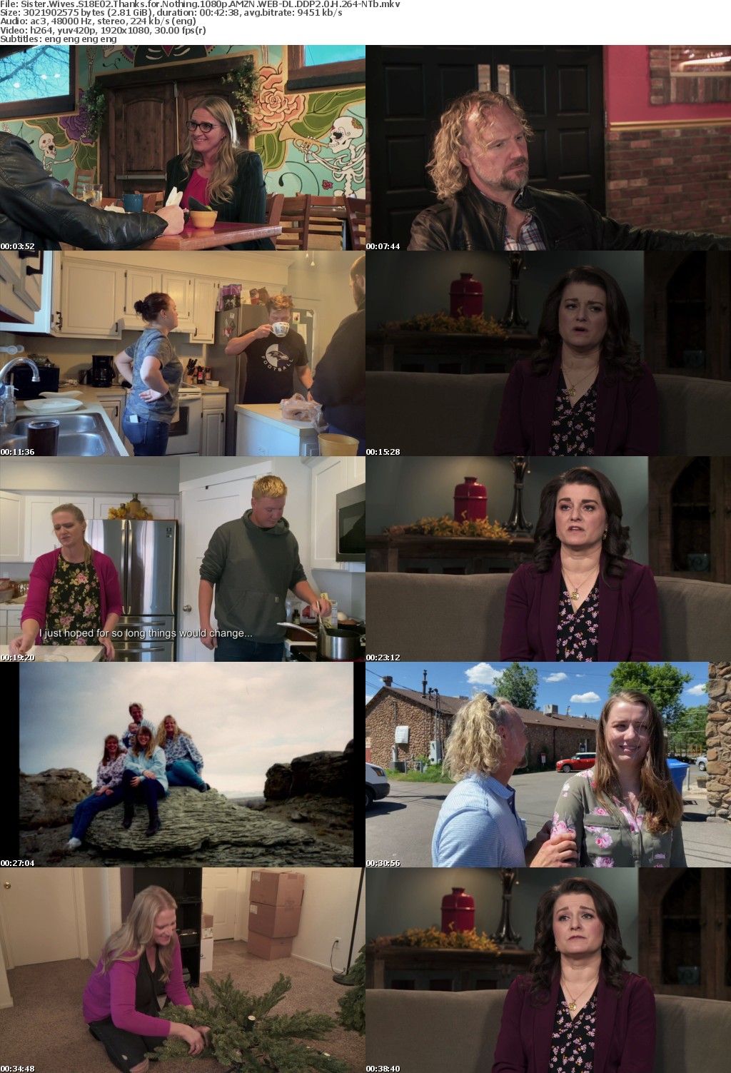 Sister Wives S18E02 Thanks for Nothing 1080p AMZN WEB-DL DDP2 0 H 264-NTb