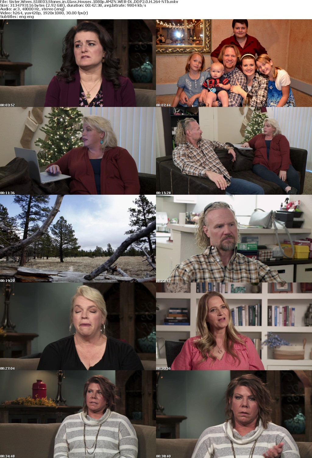 Sister Wives S18E03 Stones in Glass Houses 1080p AMZN WEB-DL DDP2 0 H 264-NTb
