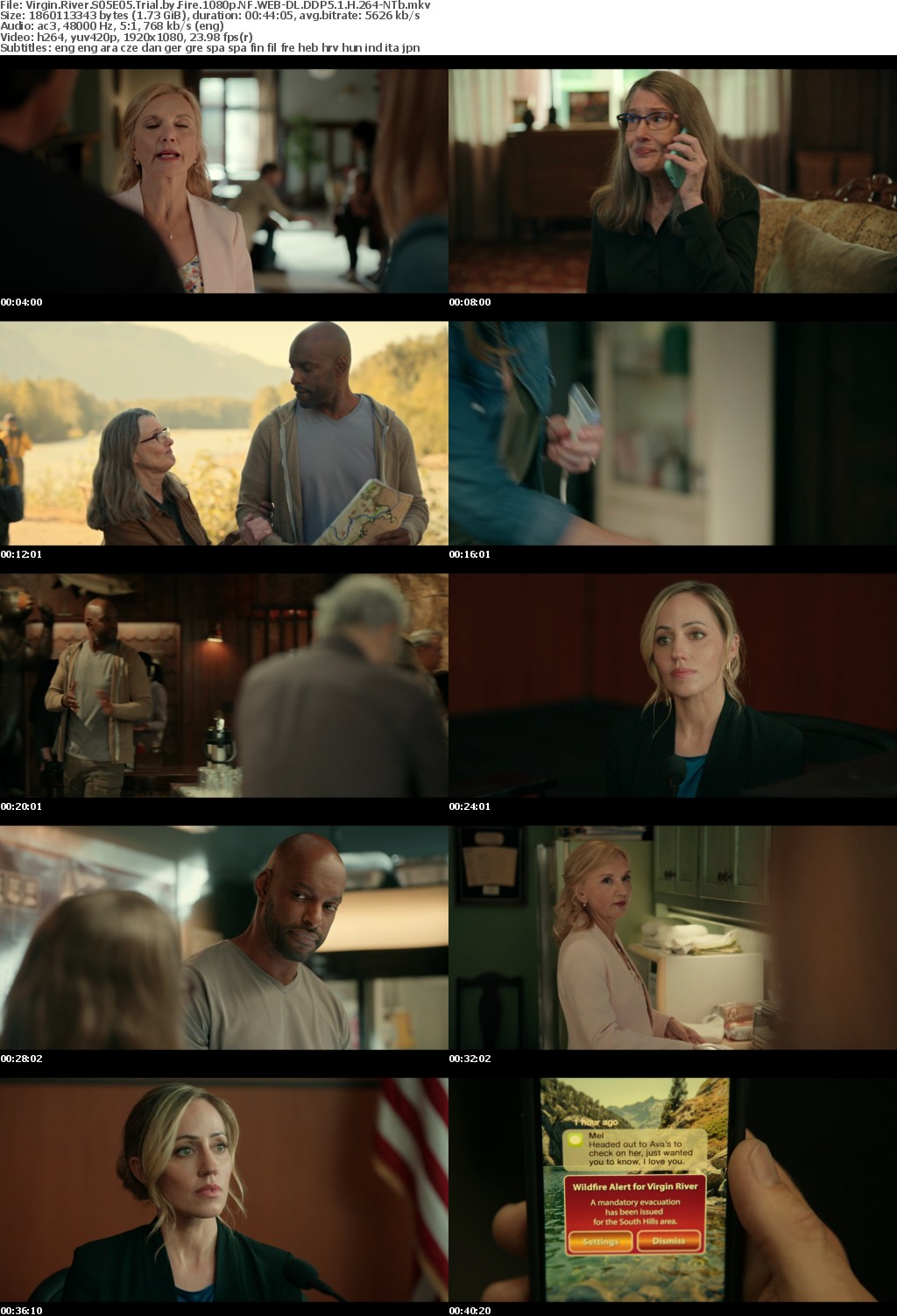 Virgin River S05E05 Trial by Fire 1080p NF WEB-DL DDP5 1 H 264-NTb