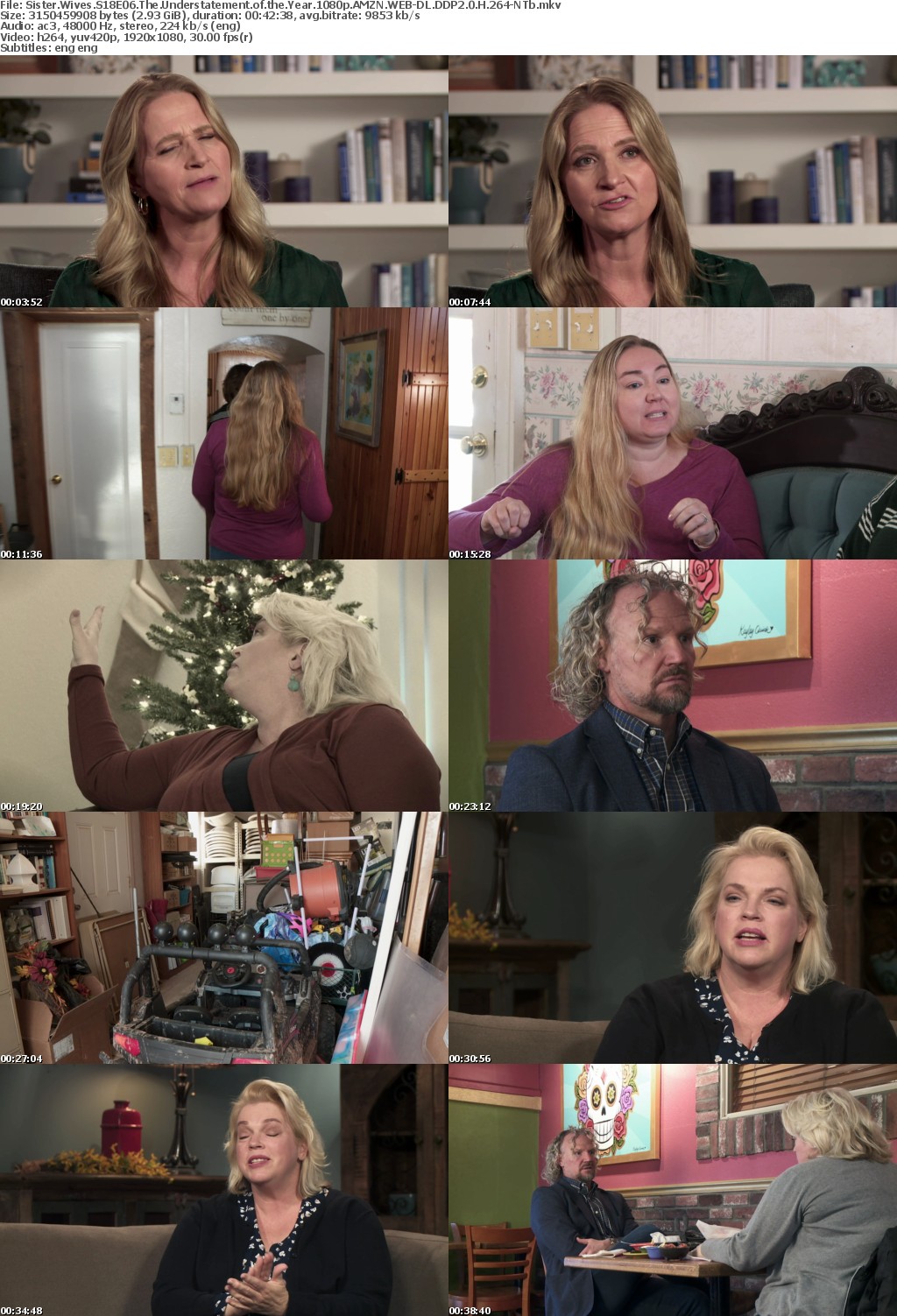 Sister Wives S18E06 The Understatement of the Year 1080p AMZN WEB-DL DDP2 0 H 264-NTb