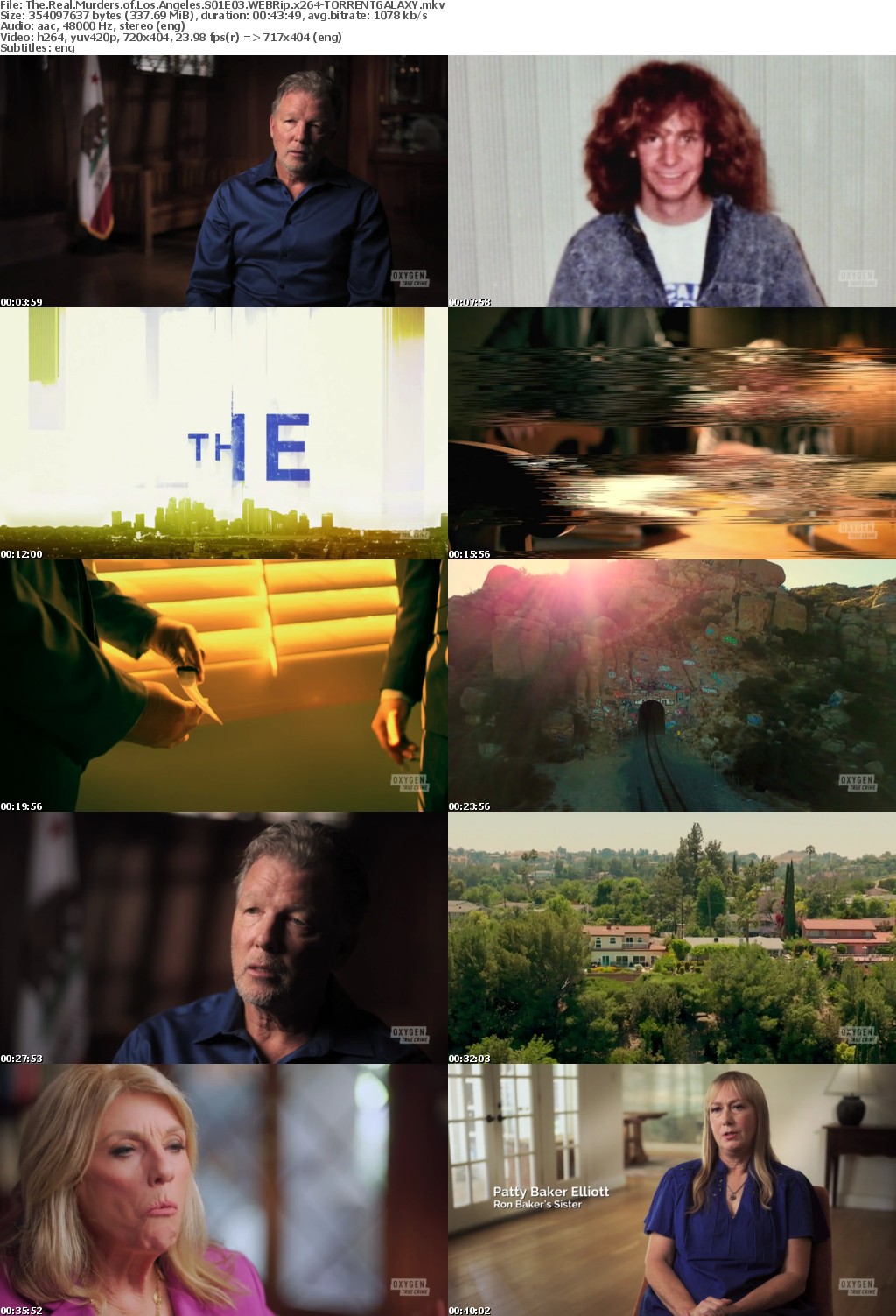 The Real Murders of Los Angeles S01E03 WEBRip x264-GALAXY