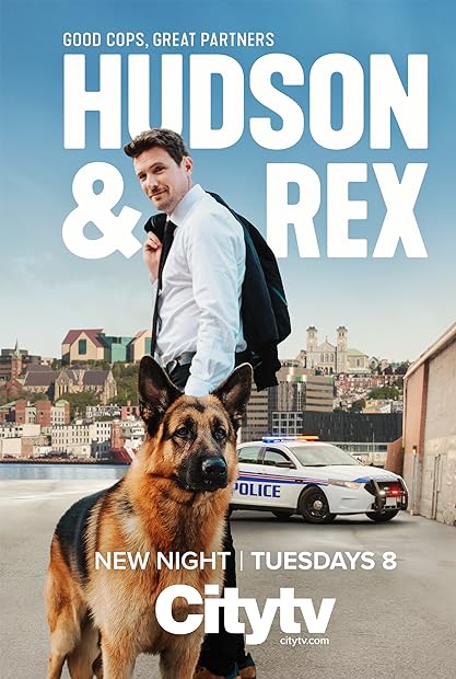Hudson and Rex S06E04 720p WEB x265-MiNX
