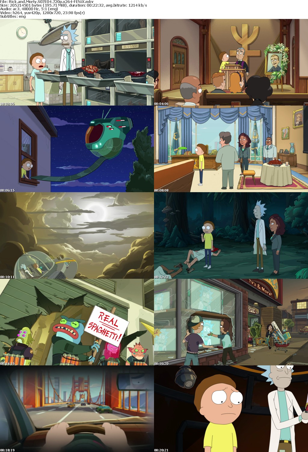 Rick and Morty S07E04 720p x264-FENiX