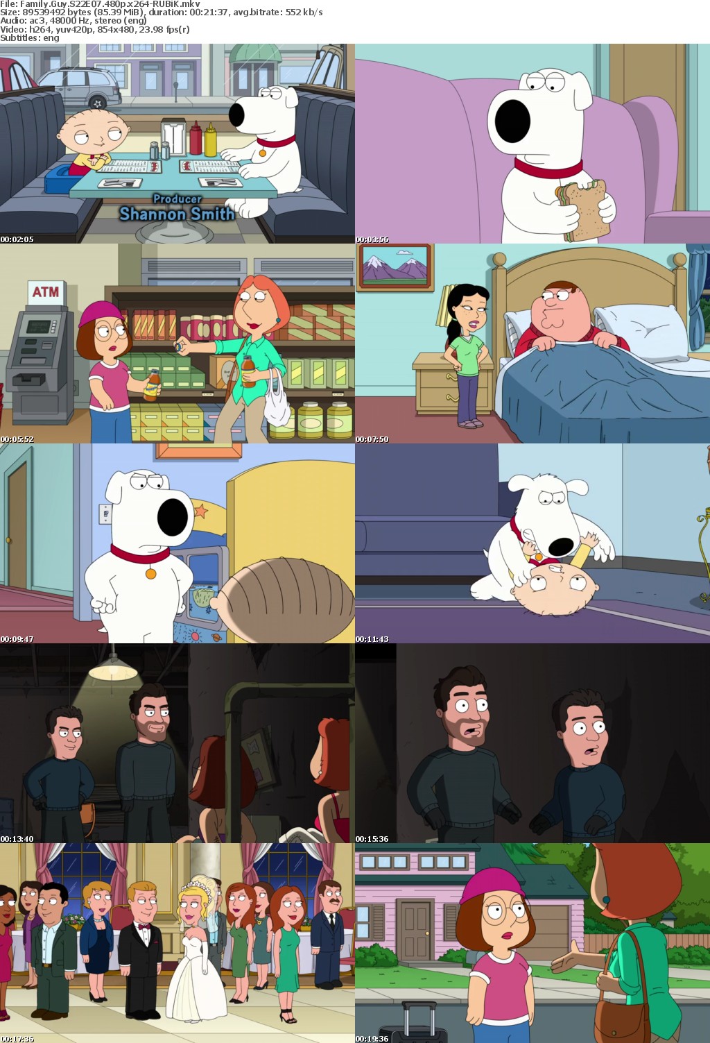 Family Guy S22E07 480p x264-RUBiK