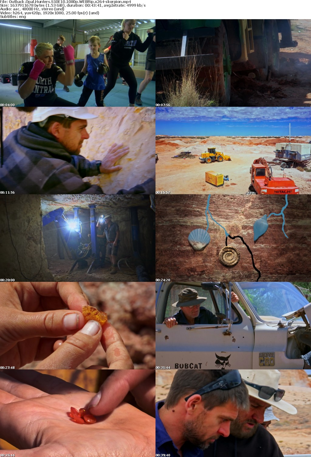 Outback Opal Hunters S10E10 1080p WEBRip x264-skorpion mp4