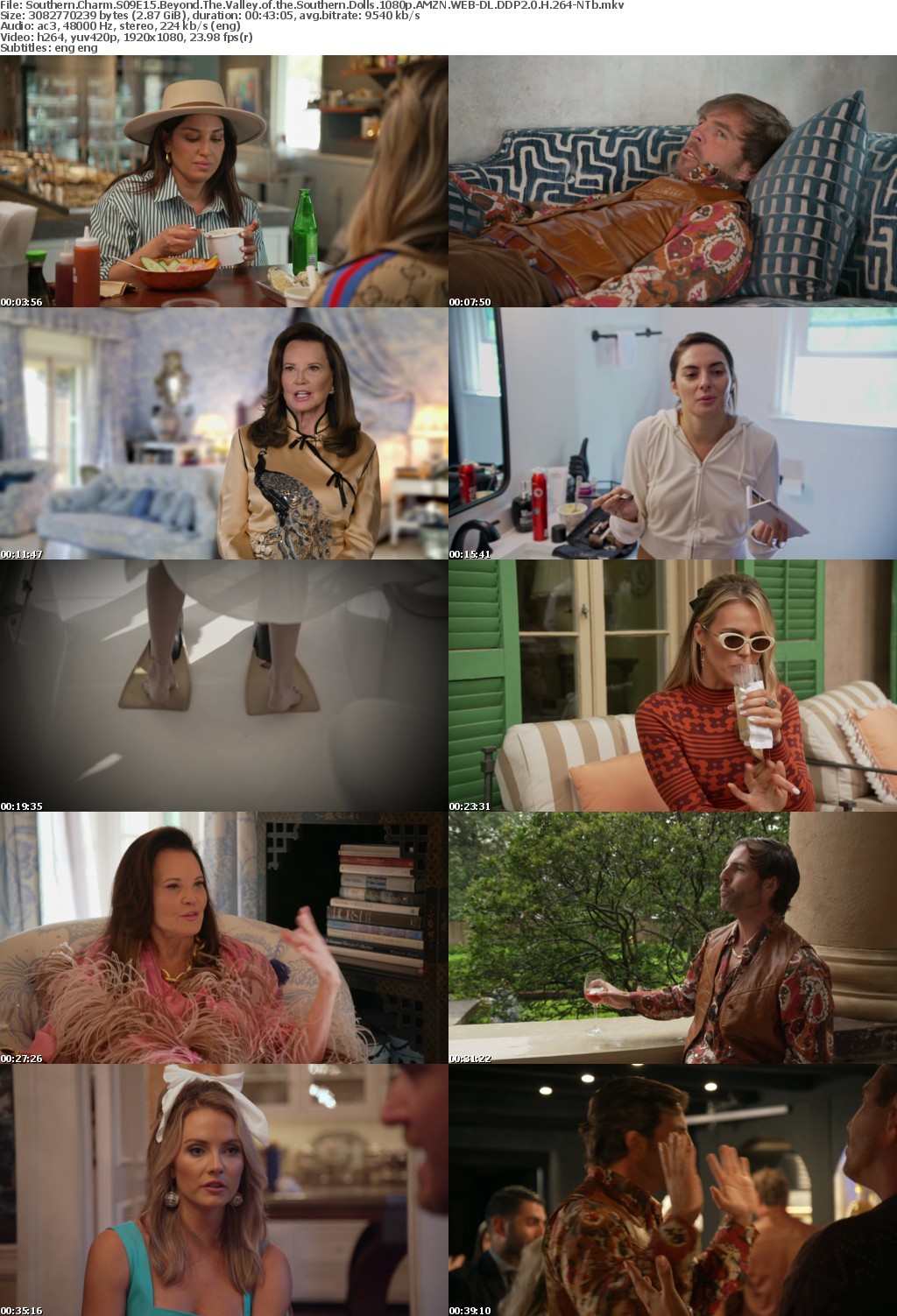 Southern Charm S09E15 Beyond The Valley of the Southern Dolls 1080p AMZN WEB-DL DDP2 0 H 264-NTb