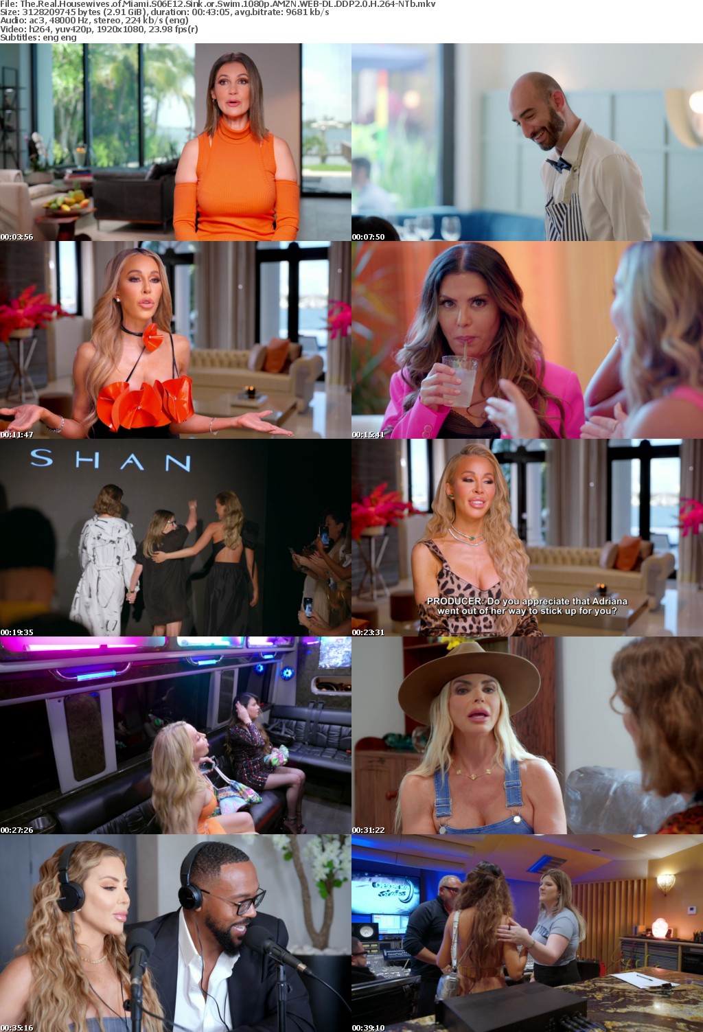 The Real Housewives of Miami S06E12 Sink or Swim 1080p AMZN WEB-DL DDP2 0 H 264-NTb