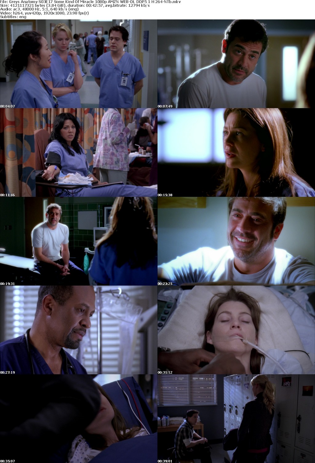 Greys Anatomy S03E17 Some Kind Of Miracle 1080p AMZN WEB-DL DDP5 1 H 264-NTb