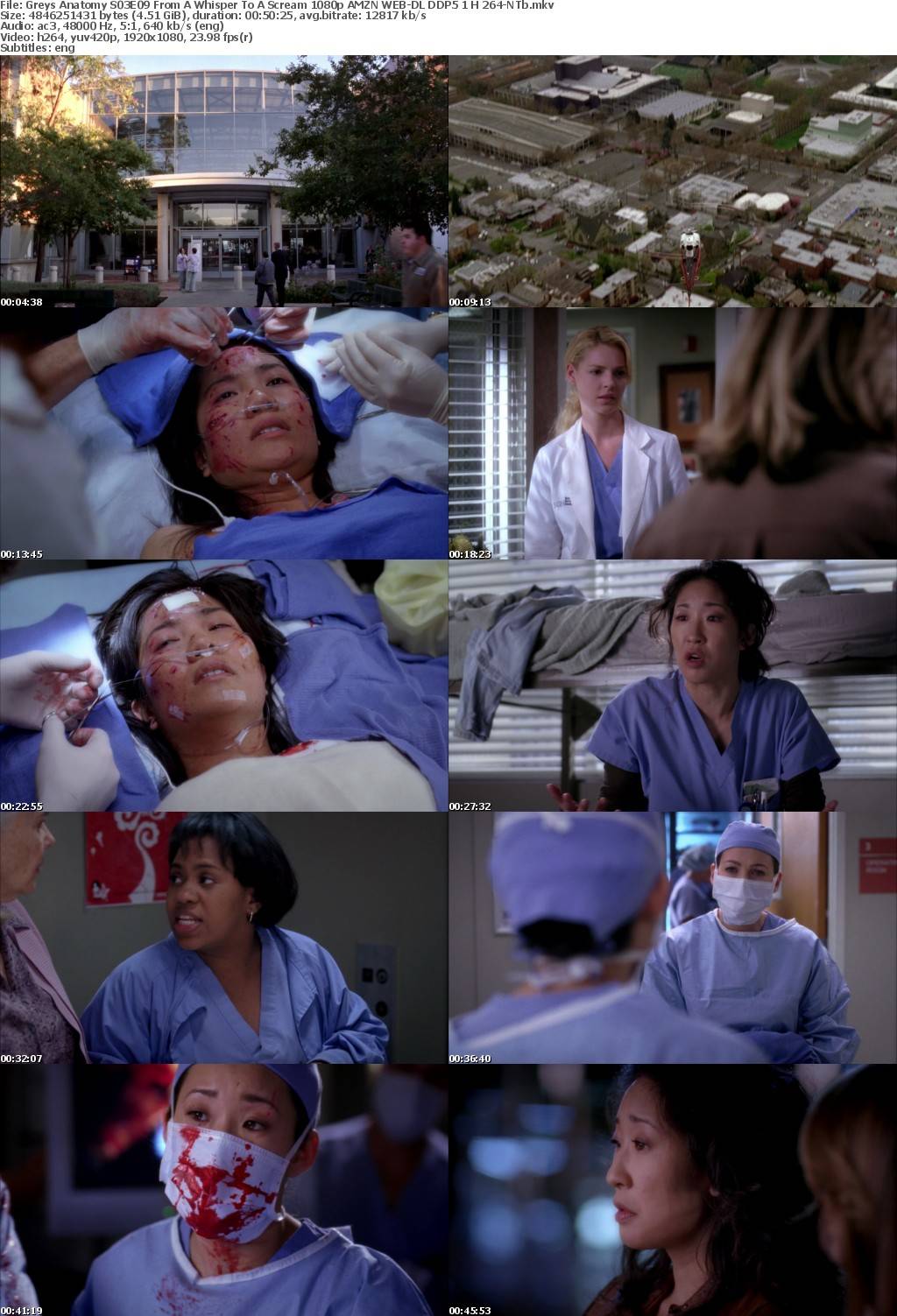 Greys Anatomy S03E09 From A Whisper To A Scream 1080p AMZN WEB-DL DDP5 1 H 264-NTb