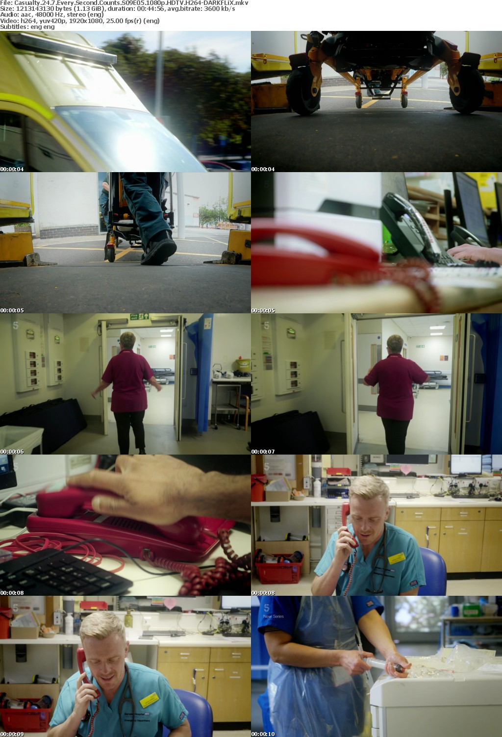 Casualty 24 7 Every Second Counts S09E05 1080p HDTV H264-DARKFLiX