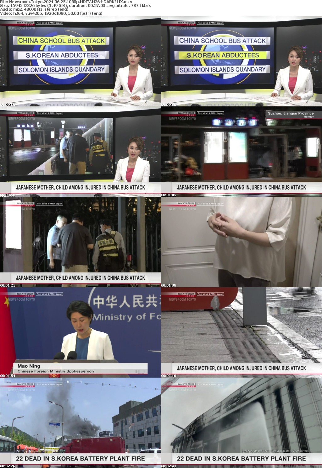 Newsroom Tokyo 2024 06 25 1080p HDTV H264-DARKFLiX